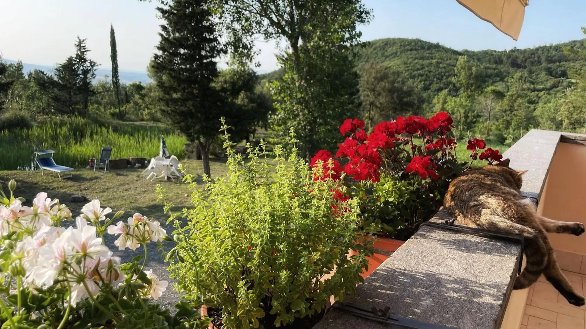 Appartement Villa Simonetta Castellina Marittima